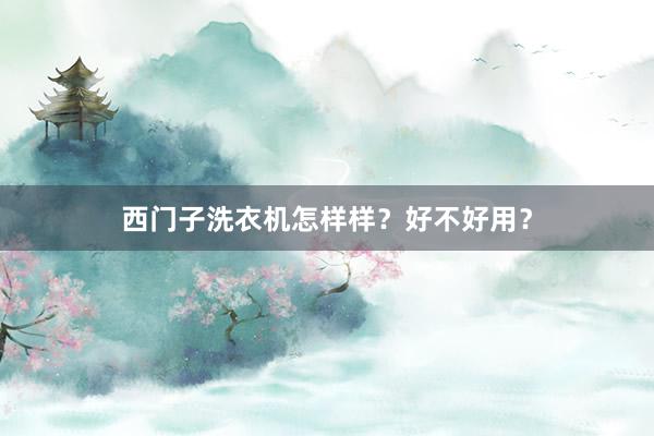 西门子洗衣机怎样样？好不好用？
