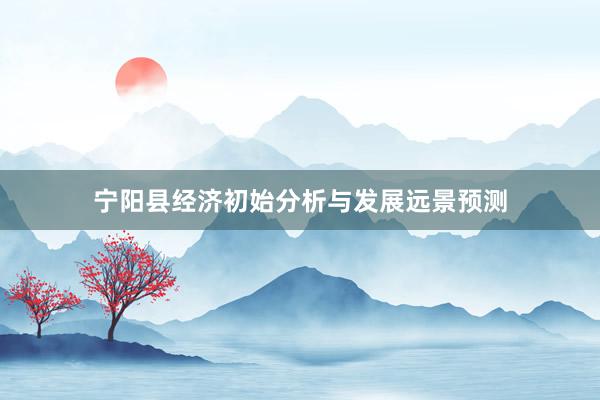 宁阳县经济初始分析与发展远景预测