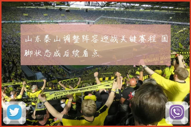 山东泰山调整阵容迎战关键赛程 国脚状态成后续看点
