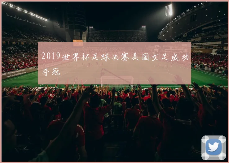 2019世界杯足球决赛美国女足成功夺冠