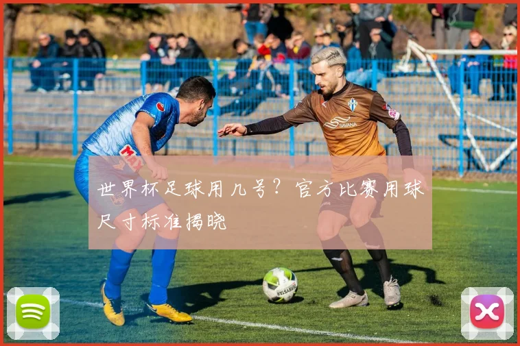 世界杯足球用几号?官方比赛用球尺寸标准揭晓