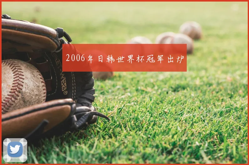 2006年日韩世界杯冠军出炉