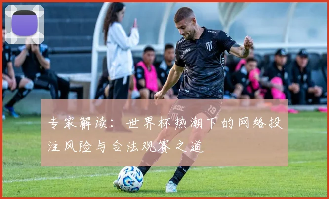 专家解读:世界杯热潮下的网络投注风险与合法观赛之道
