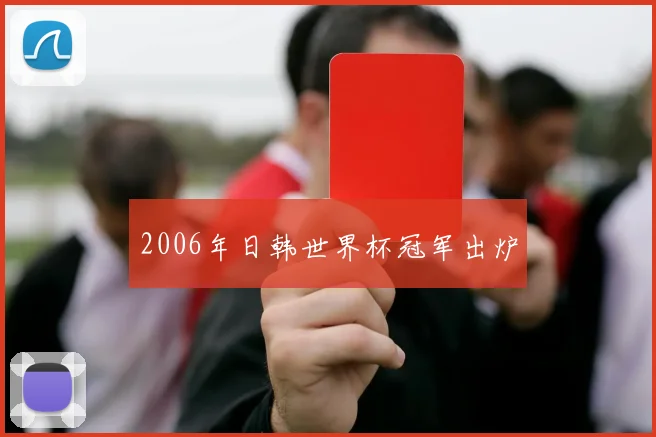 2006年日韩世界杯冠军出炉