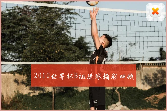 2010世界杯B组进球精彩回顾